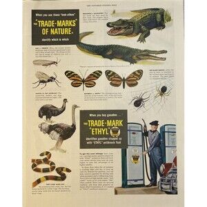 ETHYL The Trade-Mark when you buy Gas" Animals & Insects Vintage Print Ad 1949